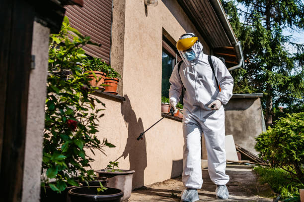 Bird Control in Hewlett, NY