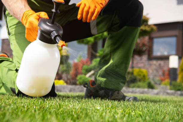 Best Residential Pest Control  in Hewlett, NY