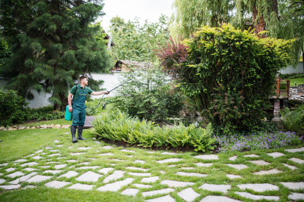 Best Affordable Pest Control Services  in Hewlett, NY