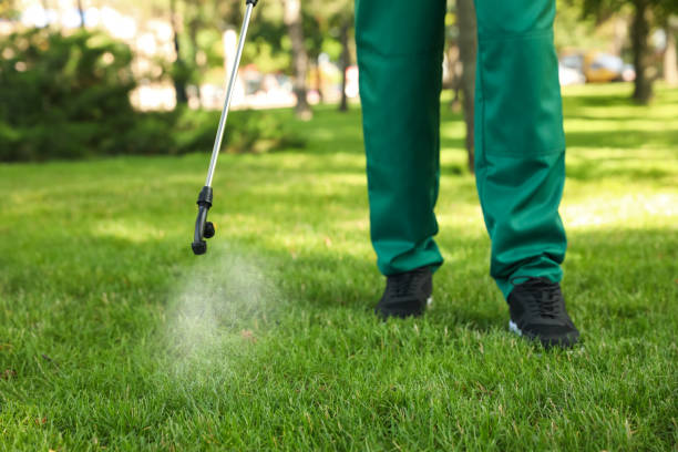 Best Flea Control Services  in Hewlett, NY