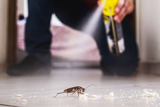 Best Mosquito Control Services  in Hewlett, NY