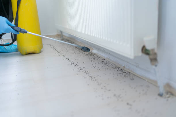 Pest Control Cost in Hewlett, NY
